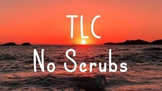 TLC  No Scrubs Lyrics [upl. by Leith]