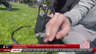 Thousands to celebrate 420 at Hippie Hill in San Francisco [upl. by Erme]