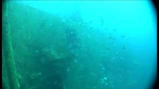 Fisheries Stock Assessment Modelling Video 02  Schools of Fish [upl. by Bathulda]