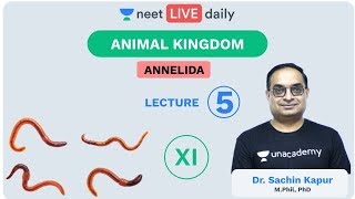 Animal Kingdom  L 5  Annelida  Class 11  Unacademy NEET  NEET Biology  Sachin Sir [upl. by Imij]