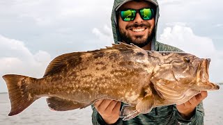 Catching BIG Grouper on a NEW Tampa Bay Rockpile [upl. by Aileon]