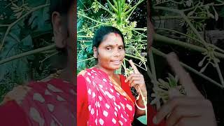 Champa kora 🙏🙏👍👍🙏🙏🙏❤️ plz subscribe [upl. by Iluj489]