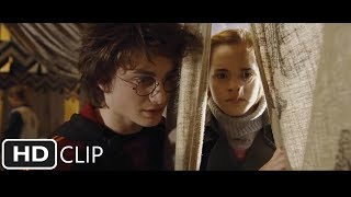 The First Task  Harry Potter and the Goblet of Fire [upl. by Windham]