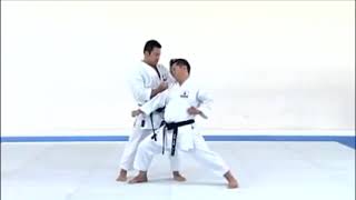 SAIFA  Kata amp Bunkai [upl. by Wellington]