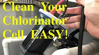 How to Clean Your Pool Chlorinator Salt Cell [upl. by Dryden856]