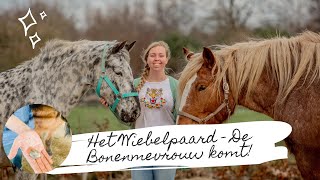 Geslachtsdelen van een paard schoonmaken de bonenmevrouw komt langs Het Wiebelpaard 1 [upl. by Vadim]