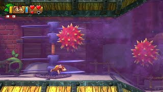 Donkey Kong Country Tropical Freeze 100 Walkthrough Part 42 World 54 Panicky Paddles  Warp Zone [upl. by Jaynes551]