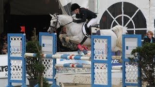 Al Ashar Vollblutaraber LStil Springen  Arabian Horse  Show Jumping [upl. by Ahsrats]