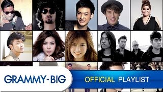 รวมเพลงฮิตฟังสบายๆ  MP3 Hits Playlist Vol4 GRAMMY BIG [upl. by Ettennaj]