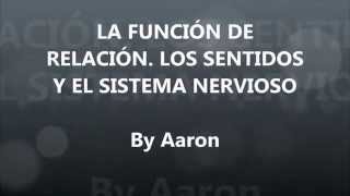 La función de relación Los sentidos y el sistema nervioso [upl. by Christis]