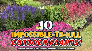 TOP 10 IMPOSSIBLETOKILL OUTDOOR PLANTS 🌻💥🌿  Gardening Ideas [upl. by Nylg]