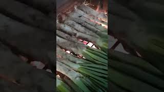 Calçots😍 [upl. by Carrick]