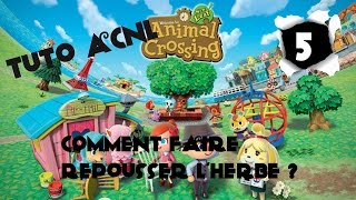 Tuto 5 ACNL  Comment faire repousser lherbe [upl. by Dlanod504]