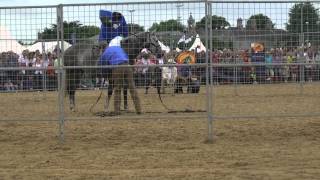 Monty Roberts RDS Saturday 10 August 2010 Full Session [upl. by Kora910]