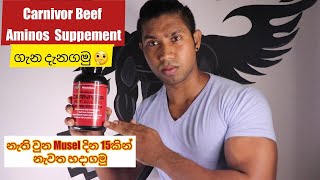 Carnivor Beef Aminos Supplement එක ගැන දැනගමු😳💪🏼  නැති වුන Musel දින 15කින් නැවත හදාගමු🌝 [upl. by Soirtemed688]