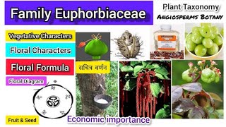 Family Euphorbiaceae  Euphorbiaceae family  Plant taxonomy [upl. by Chiou]