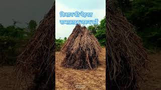 दोस्तों सब्सक्राइब जरूर करें खेत की मेहनत और शॉट्स की मेहनत के लिए [upl. by Mich747]