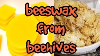 Separating Melting and Shaping Beeswax [upl. by Fanny]