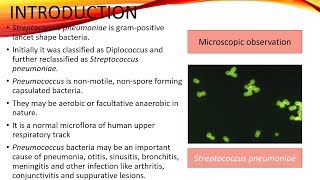 Disease Caused by Streptococcus Pneumoniae in English [upl. by Ozzy]