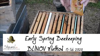 Early spring beekeeping using Blinov Method [upl. by Dlanar]