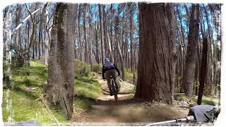 Falls Creek MTB  Heavy Metal and Skyline [upl. by Sissel884]