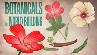 How I plan to use botanical drawings for worldbuilding inspiration Drawing Okra and Flowers [upl. by Ahsemik]