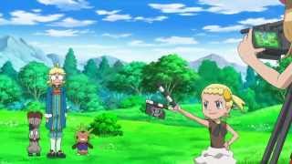 Pokémon XY Series  Best Chespin Moment Ever [upl. by Narag386]