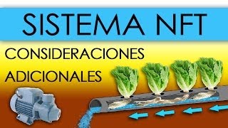 HIDROPONÍA  SISTEMA NFT EN LECHUGAS Nutrient Film Technique [upl. by Noll]