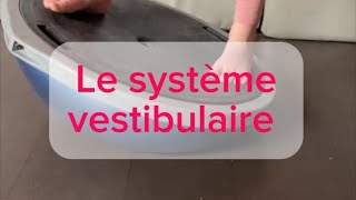 Le système vestibulaire [upl. by Roseann]