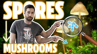 ♻️ Understanding The Mushroom Life Cycle  From Spores To Mycelium To Mushroom And Back Again [upl. by Sirahs]