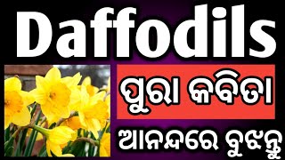 Daffodils🔥 ପୁରା କବିତା 🔥ବୁଝନ୍ତୁ  daffodils by william Wordsworth  daffodils poem in odia [upl. by Higgins]