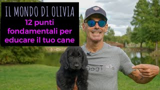 12 punti fondamentali per educare il tuo cane Il mondo di Olivia [upl. by Torrie924]