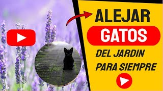 🔴 Cómo AHUYENTAR los GATOS del JARDÏN para Siempre 👆 13 Ideas [upl. by Nerred]