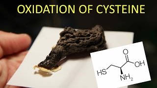 Oxidation of the Amino Acid LCysteine [upl. by Dachy770]