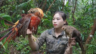 200 days of survival in the wild trapping wild birds and wild boars alone survival [upl. by Edrei]