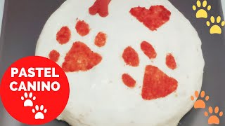 PASTEL DE POLLO PARA PERROS 😍 🐕 [upl. by Emelyne]