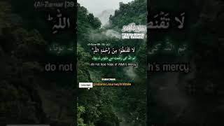 Surah Az Zumar Ayah No 53 With Translationquran [upl. by Fawnia]