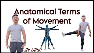 Anatomical Terms of Movement [upl. by Iyre37]