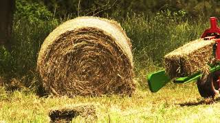 Ivey Farms Harvesting Orchard Grass For Hay [upl. by Cooper120]