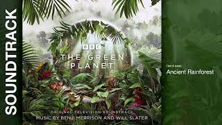 Ancient Rainforest 💿 The Green Planet  Soundtrack CD 1 by Benji Merrison Will Slater [upl. by Gnouc759]