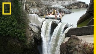 After Largest Dam Removal in US History This River Is Thriving  National Geographic [upl. by Sacha538]