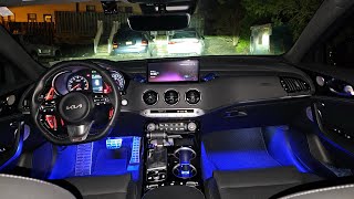 Kia Stinger GTLine AWD  1 Year Worth of Interior Mods [upl. by Ruiz]