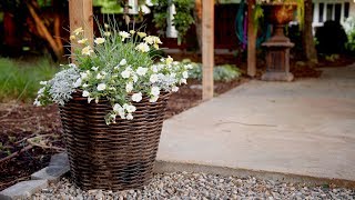 Planting a Container in Shades of White 💚🌿 Garden Answer [upl. by Bondie]