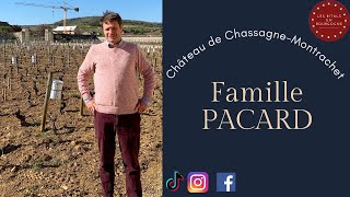 Château de ChassagneMontrachet  Famille PICARD [upl. by Imhskal]