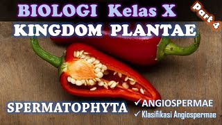 KINGDOM PLANTAE Part 4  Spermatophyta  Angiospermae amp Klasifikasinya Biologi SMA Kelas X IPA [upl. by Hedwiga]