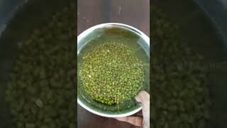 How to sprout green gram at home without using cheese cloth  Green gram sprouts easy way [upl. by Yldarb]