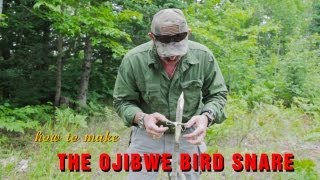 How to Make an Ojibwe Bird Snare [upl. by Uriiah]