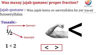 Lesson 2  NOOCYADA JAJABKATYPE OF FRACTION [upl. by Eiclek]