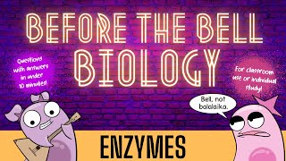 Enzymes Before the Bell Biology [upl. by Batty]