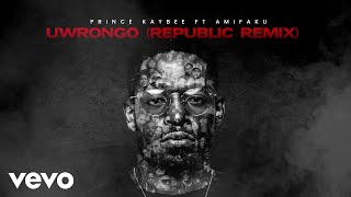 Prince Kaybee Ami Faku  Uwrongo Republic Remix  Visualizer [upl. by Atiuqa271]